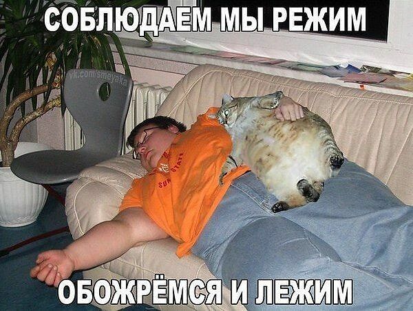 http://upforme.ru/uploads/0004/02/e8/1734/t734102.jpg