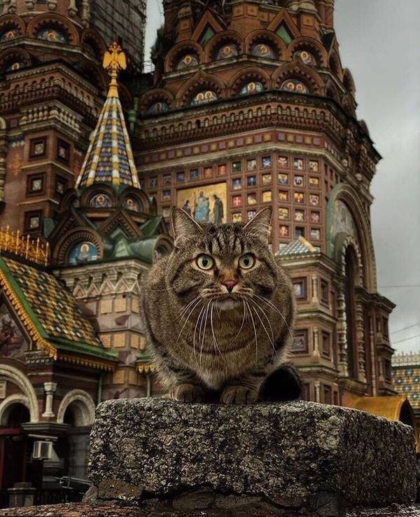 http://upforme.ru/uploads/0004/02/e8/1734/t73564.jpg