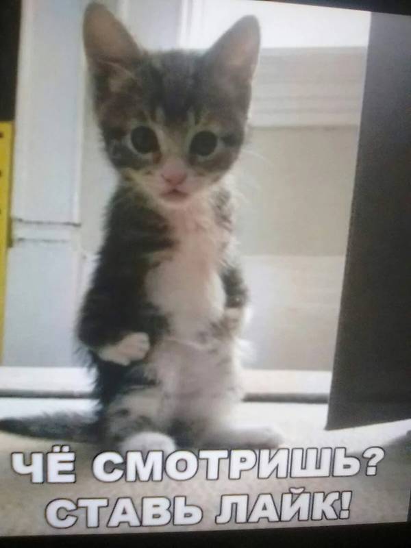 http://upforme.ru/uploads/0004/02/e8/1734/t73725.jpg
