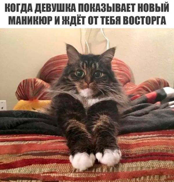 http://upforme.ru/uploads/0004/02/e8/1734/t73796.jpg