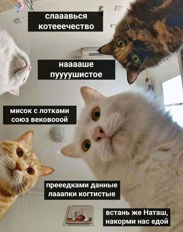 http://upforme.ru/uploads/0004/02/e8/1734/t745324.jpg
