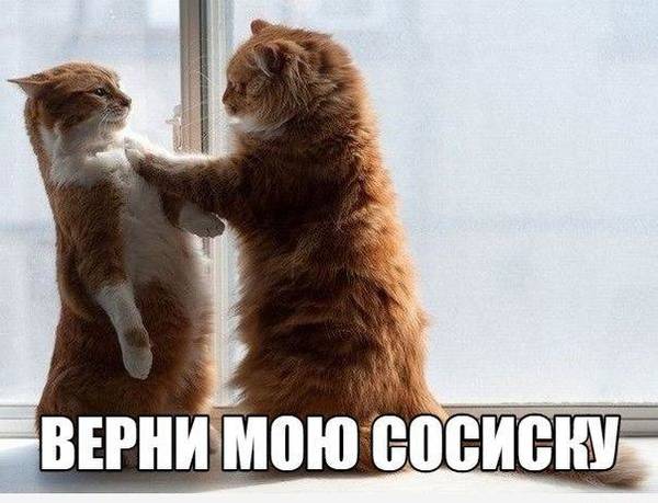 http://upforme.ru/uploads/0004/02/e8/1734/t74776.jpg