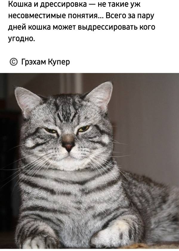 http://upforme.ru/uploads/0004/02/e8/1734/t74906.jpg