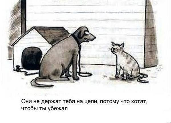 http://upforme.ru/uploads/0004/02/e8/1734/t75253.jpg