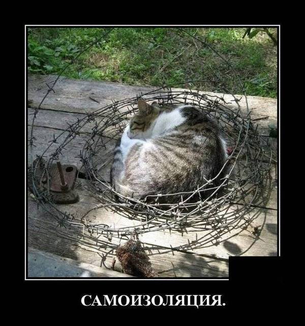 http://upforme.ru/uploads/0004/02/e8/1734/t757819.jpg