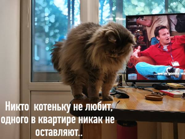 http://upforme.ru/uploads/0004/02/e8/1734/t758348.jpg