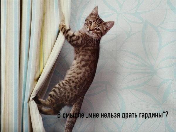 http://upforme.ru/uploads/0004/02/e8/1734/t767424.jpg
