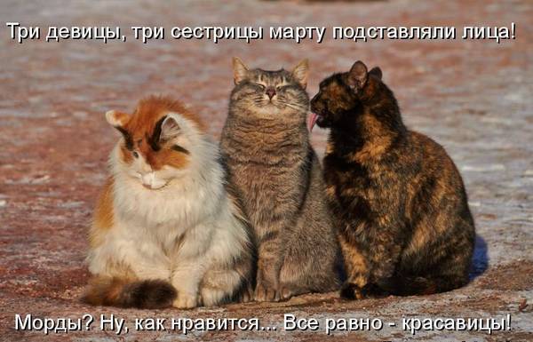 http://upforme.ru/uploads/0004/02/e8/1734/t76782.jpg