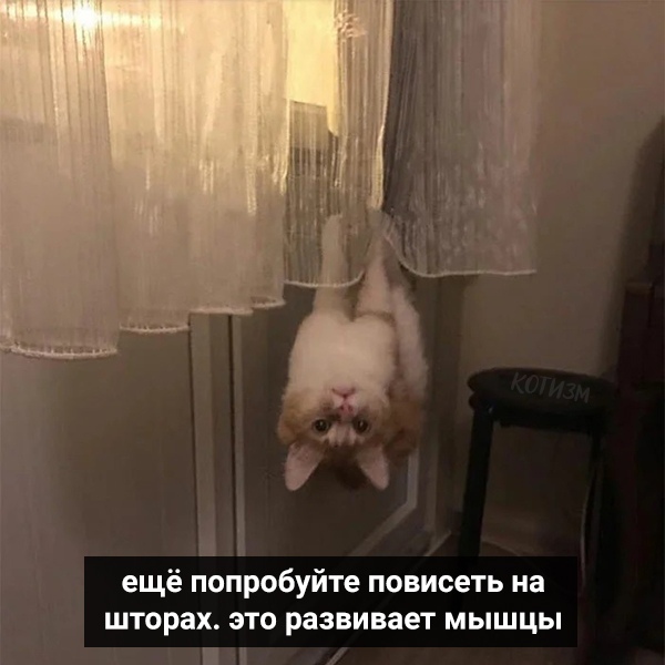 http://upforme.ru/uploads/0004/02/e8/1734/t77138.jpg
