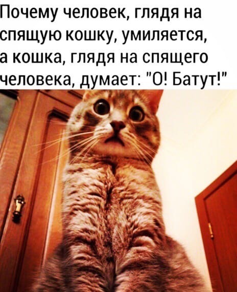 http://upforme.ru/uploads/0004/02/e8/1734/t772018.jpg