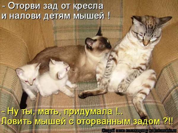 http://upforme.ru/uploads/0004/02/e8/1734/t778164.jpg