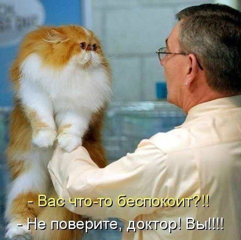 http://upforme.ru/uploads/0004/02/e8/1734/t77852.jpg