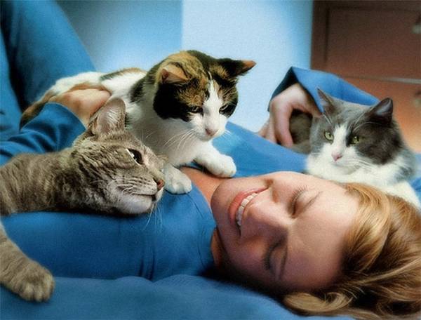 http://upforme.ru/uploads/0004/02/e8/1734/t784138.jpg