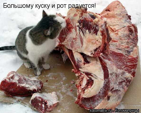 http://upforme.ru/uploads/0004/02/e8/1734/t785544.jpg