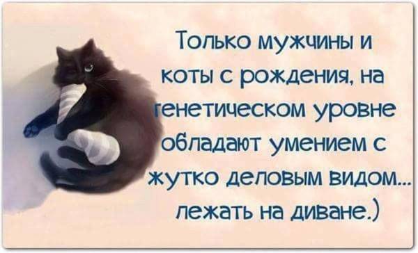 http://upforme.ru/uploads/0004/02/e8/1734/t78744.jpg