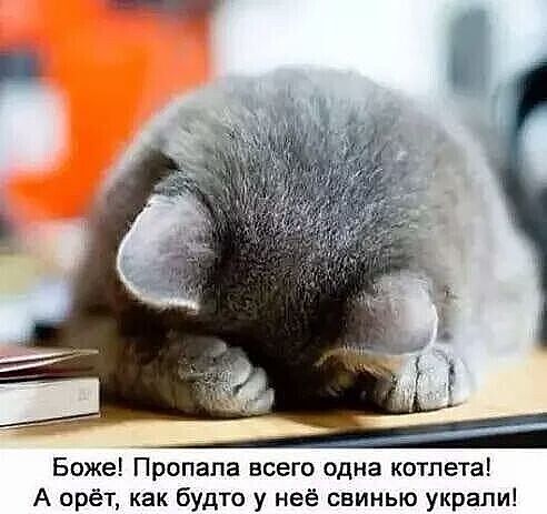 http://upforme.ru/uploads/0004/02/e8/1734/t788309.jpg