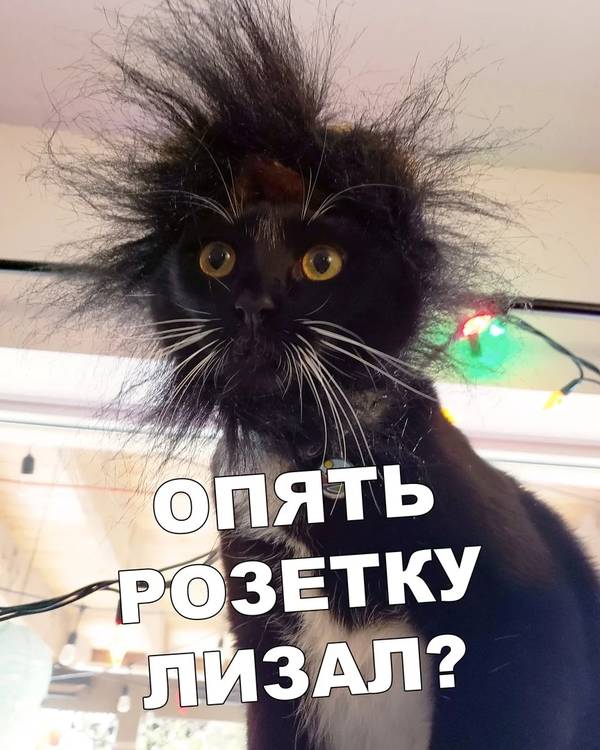 http://upforme.ru/uploads/0004/02/e8/1734/t790417.jpg