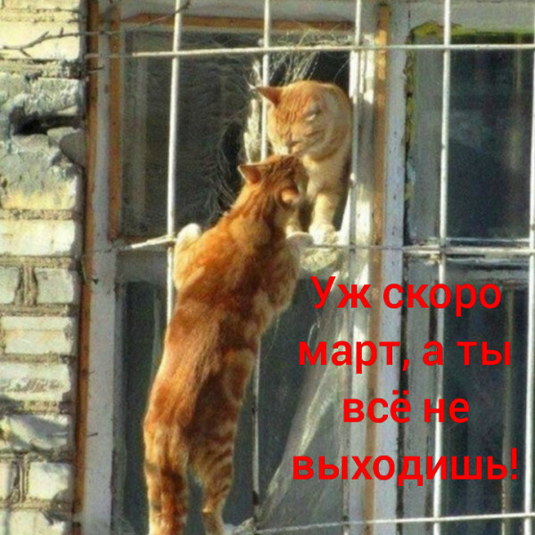 http://upforme.ru/uploads/0004/02/e8/1734/t79320.jpg