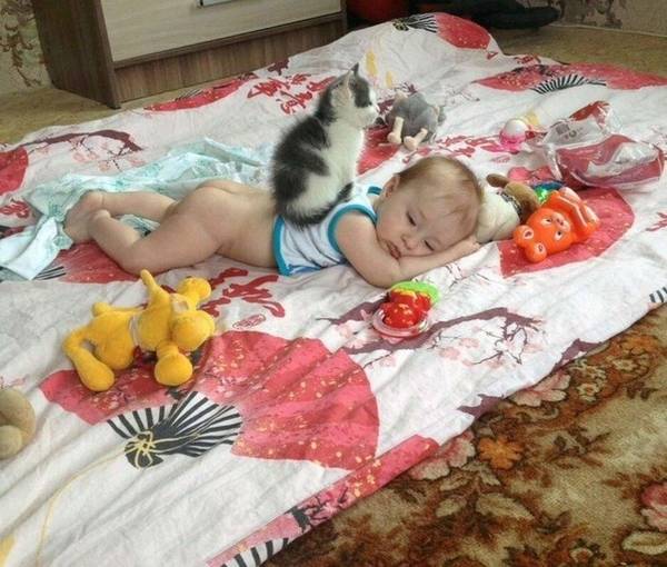 http://upforme.ru/uploads/0004/02/e8/1734/t794272.jpg