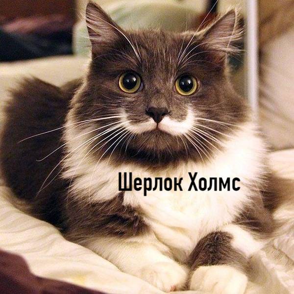 http://upforme.ru/uploads/0004/02/e8/1734/t811935.jpg