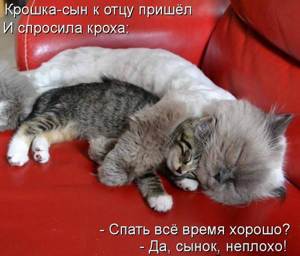 http://upforme.ru/uploads/0004/02/e8/1734/t81248.jpg
