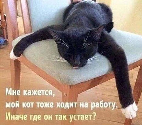 http://upforme.ru/uploads/0004/02/e8/1734/t81353.jpg