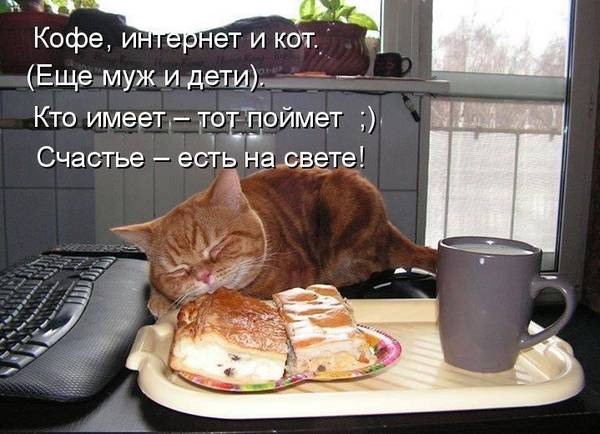 http://upforme.ru/uploads/0004/02/e8/1734/t821612.jpg