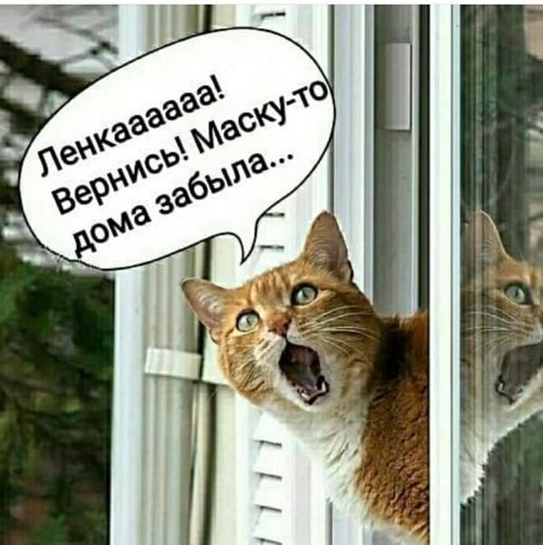 http://upforme.ru/uploads/0004/02/e8/1734/t833626.jpg