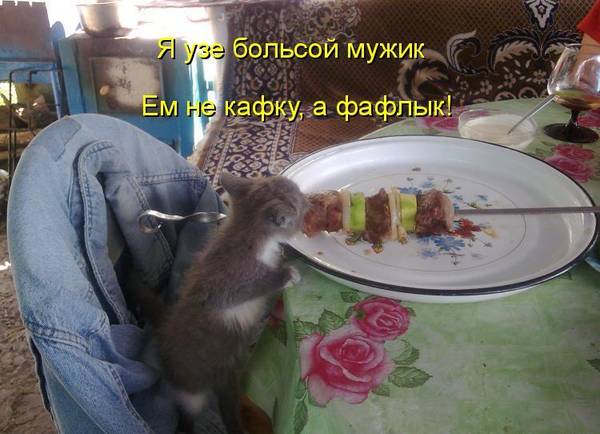 http://upforme.ru/uploads/0004/02/e8/1734/t83385.jpg