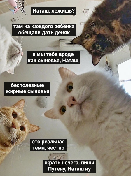 http://upforme.ru/uploads/0004/02/e8/1734/t838745.jpg