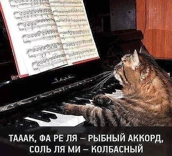 http://upforme.ru/uploads/0004/02/e8/1734/t84000.jpg