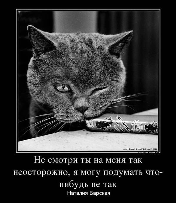 http://upforme.ru/uploads/0004/02/e8/1734/t84338.jpg