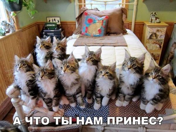 http://upforme.ru/uploads/0004/02/e8/1734/t848431.jpg