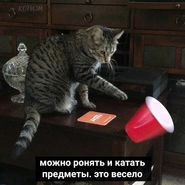 http://upforme.ru/uploads/0004/02/e8/1734/t85076.jpg