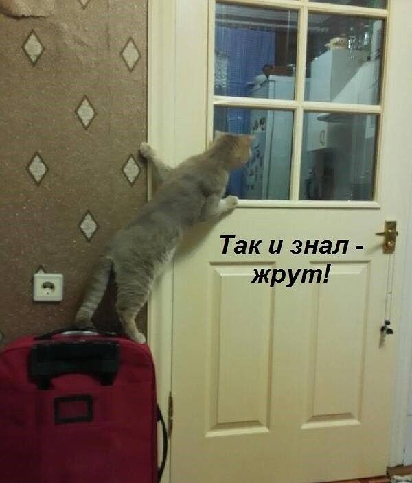 http://upforme.ru/uploads/0004/02/e8/1734/t85600.jpg
