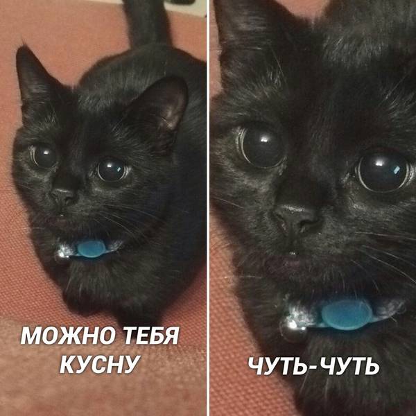 http://upforme.ru/uploads/0004/02/e8/1734/t859185.jpg