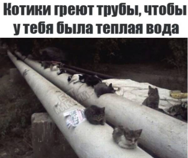 http://upforme.ru/uploads/0004/02/e8/1734/t86191.jpg