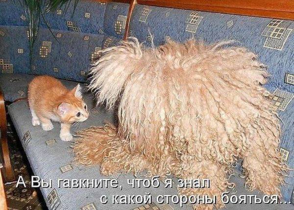 http://upforme.ru/uploads/0004/02/e8/1734/t86408.jpg