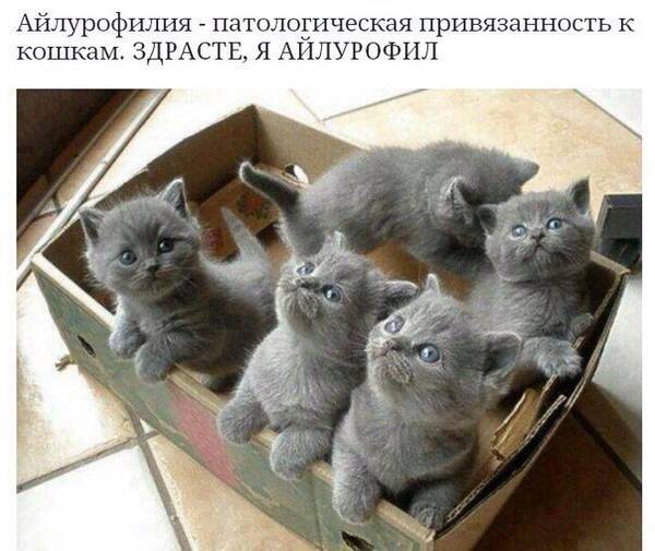 http://upforme.ru/uploads/0004/02/e8/1734/t864649.jpg