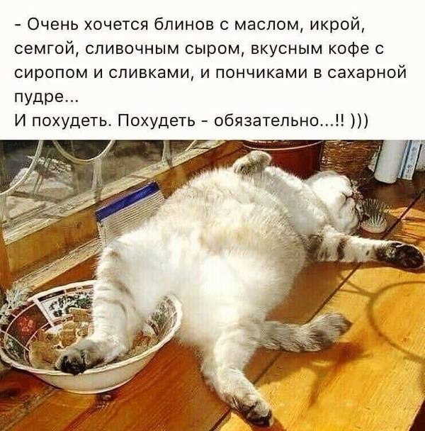 http://upforme.ru/uploads/0004/02/e8/1734/t87684.jpg