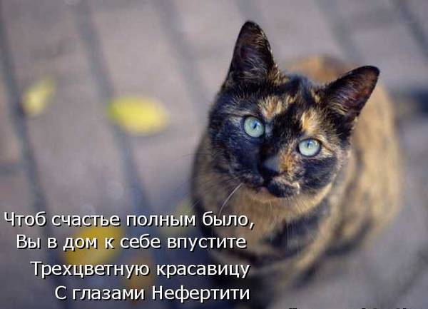 http://upforme.ru/uploads/0004/02/e8/1734/t88190.jpg