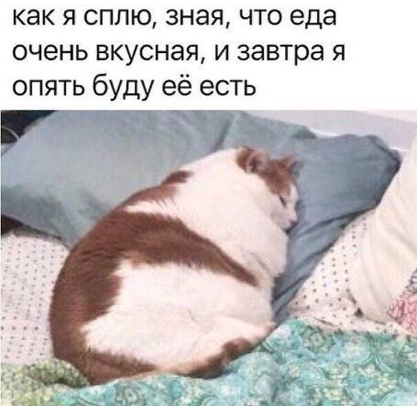 http://upforme.ru/uploads/0004/02/e8/1734/t88784.jpg