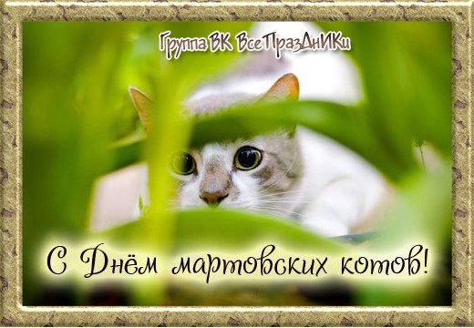 http://upforme.ru/uploads/0004/02/e8/1734/t88865.jpg