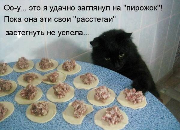 http://upforme.ru/uploads/0004/02/e8/1734/t896000.jpg