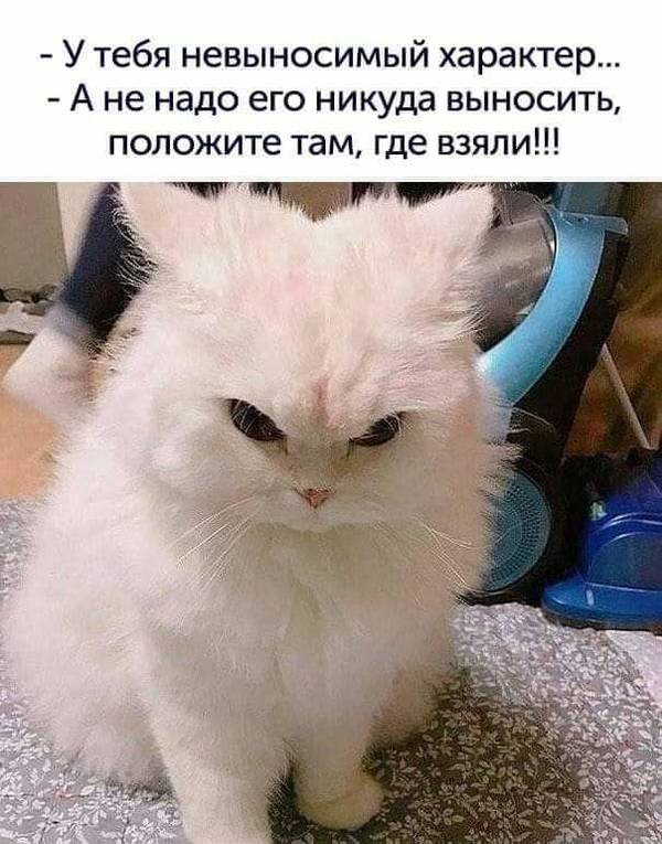 http://upforme.ru/uploads/0004/02/e8/1734/t89608.jpg