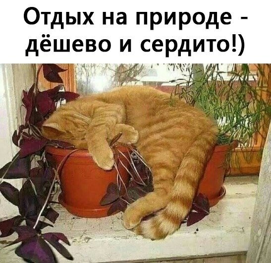 http://upforme.ru/uploads/0004/02/e8/1734/t897437.jpg