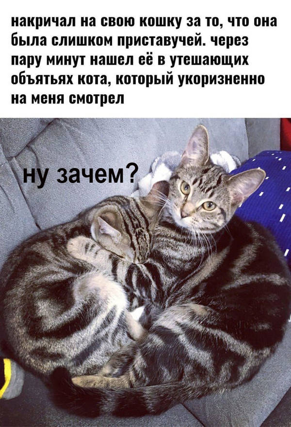 http://upforme.ru/uploads/0004/02/e8/1734/t89948.jpg