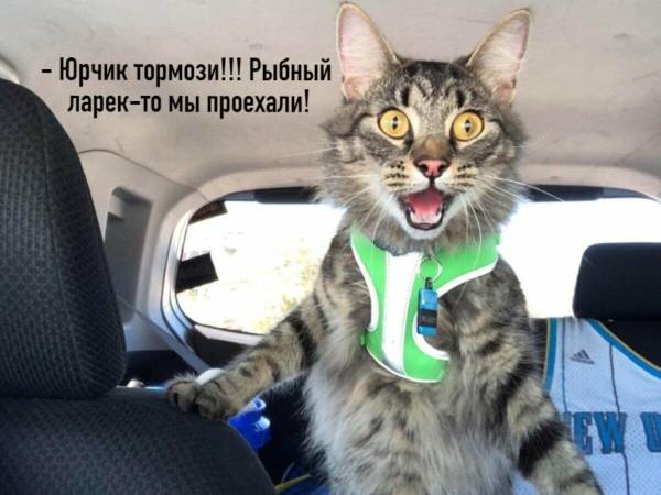 http://upforme.ru/uploads/0004/02/e8/1734/t907439.jpg