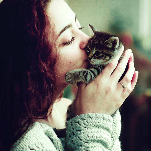 http://upforme.ru/uploads/0004/02/e8/1734/t911081.jpg