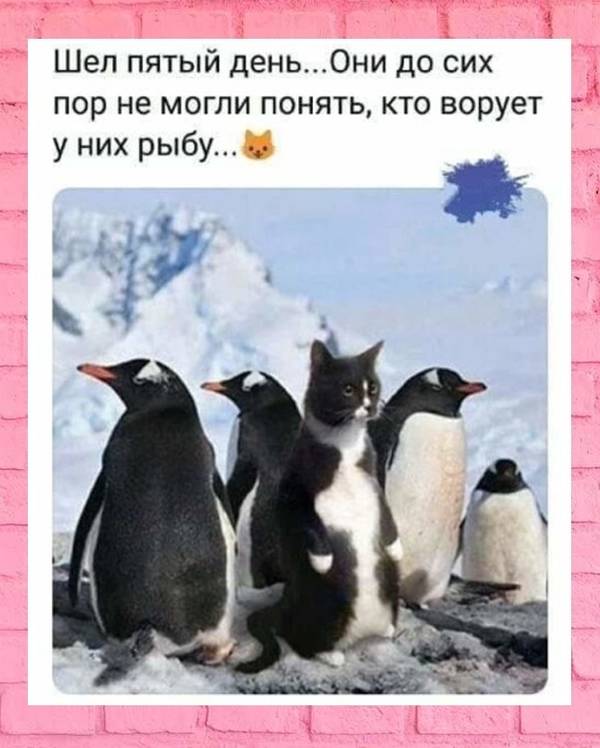 http://upforme.ru/uploads/0004/02/e8/1734/t91281.jpg